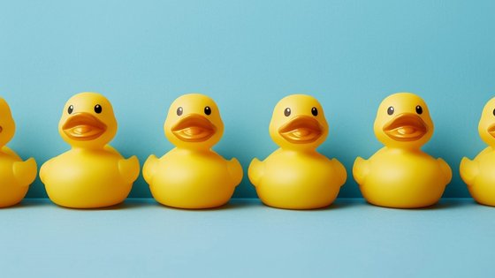 Yellow rubber ducks arranged face on in a line against a sky blue backdrop