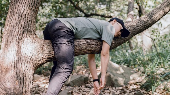 A man in a tree, apparently asleep